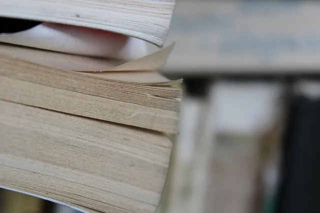 Buch: Lernen im Social Web (2013). Berlin:ePubli.