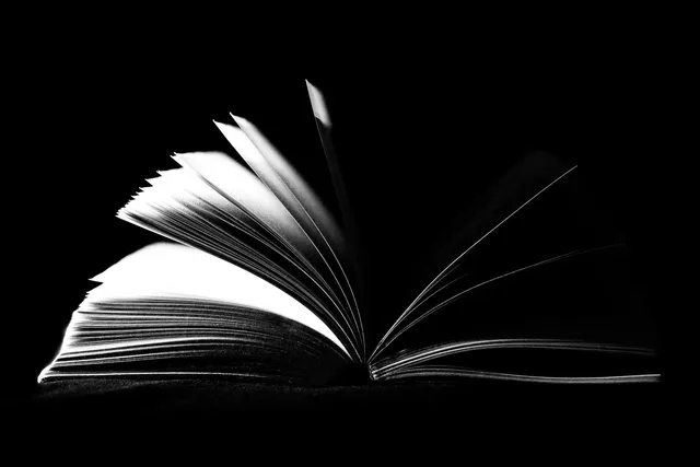 Bücher / Artikel / Interviews